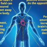 Did you know? – about the human heart and its magnetic field